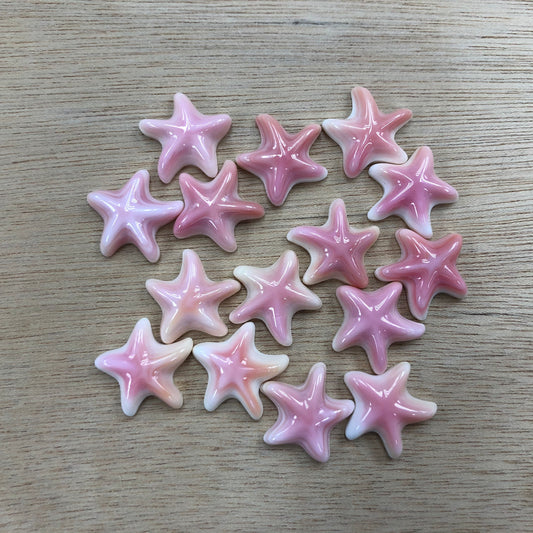 5 pcs Natural Queen Conch Shell Loose Piece Starfish Shape 25mm