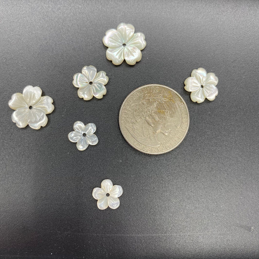 White Mother Of Pearl Shell Carving Flower 10pcs 10mm 12mm 15mm