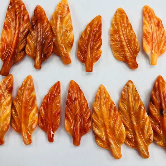 5pcs Natural Spiny Oyster Orange Shell Leaf shape