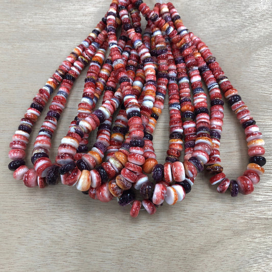 Spiny Oyster Shell Mix Color Graduated Rondelle Bead Strand 8-16mm