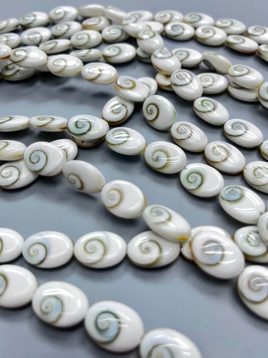 Shiva Eye Shell oval beads (10x12mm 12x14mm)